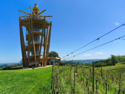 Jaka tuča uništila je urod u vinogradima Davida Štampara na Mađerkinom bregu
