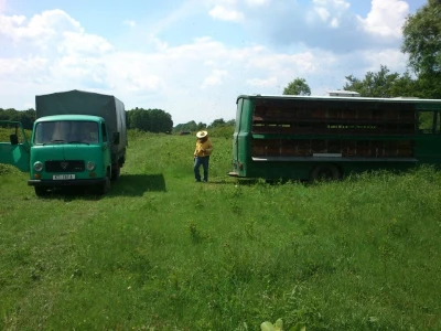 Vozilima u potrazi za pčelinjim pašama