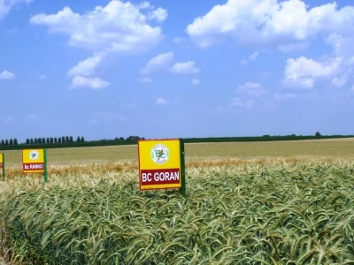 Ječam
