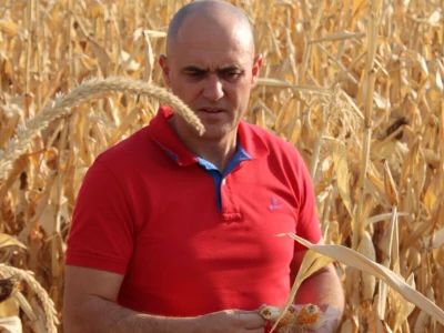 Josip Dabro obilazi polja i nasade oštećene sušom