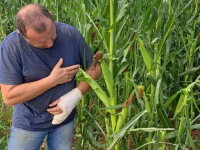 Josipu Žmegaču, poznatom proizvođaču bučinog ulja iz Donjeg Vratna tuča je nanijela ogromnu štetu