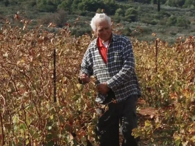 Jovanin Plenković