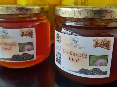 Jutro na Agronomskom