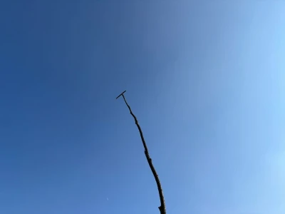 Kad je korov prijatelj, a srna kosilica