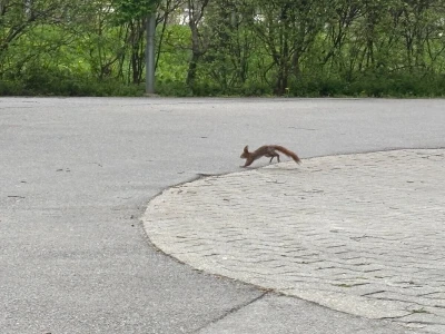 Kako se Beč nosi s klimatskim promjenama?