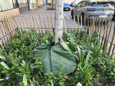 Kako se Beč nosi s klimatskim promjenama?