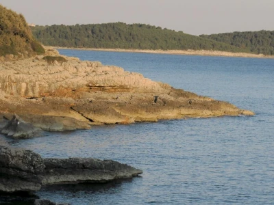 Kako se riješiti invazivnog plavog raka
