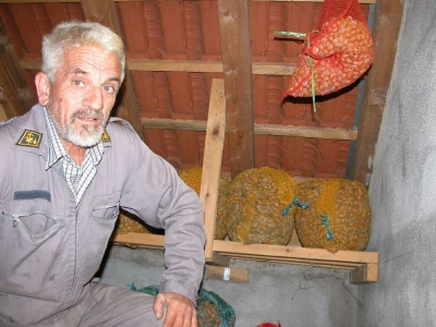 Kaloper u skladištu svojih badema