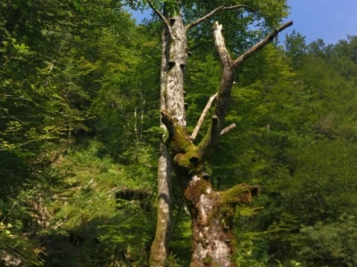 Kamačnik - tematska staza