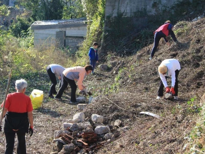 Kampanja "Zasadi stablo, ne budi panj"