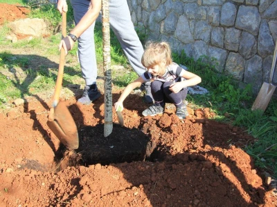 Kampanja "Zasadi stablo, ne budi panj"