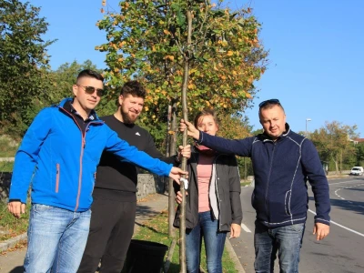 Kampanja "Zasadi stablo, ne budi panj"