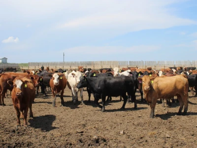 Kanada, nova zemlja rastućeg agrara