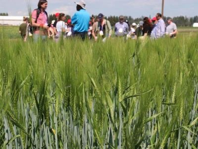 Kanada, nova zemlja rastućeg agrara