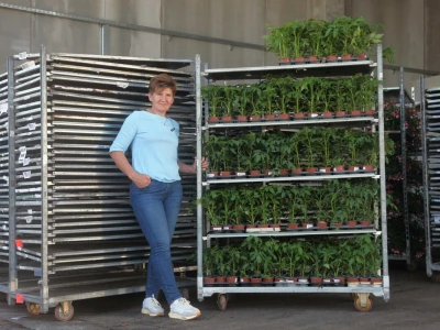 Karmanka Cepanec svoje plastenike grije obnovljivim izvorima energije