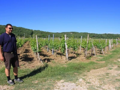 Katunar Estate Winery