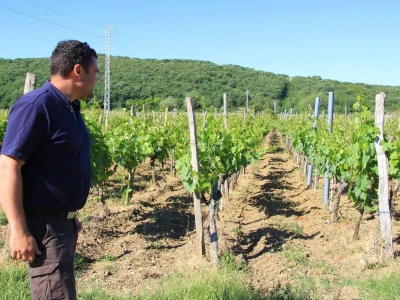 Katunar Estate Winery