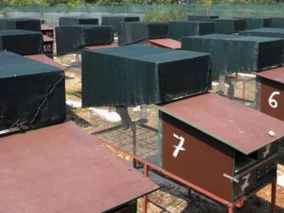 Kavezi divljih zečeva - detalj farme