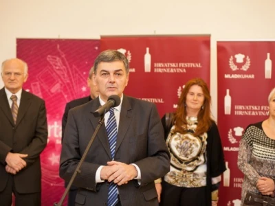 Vladimir Šišljagić, župan osječko-baranjski