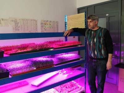 Know Sow Grow, Sergej Lugović