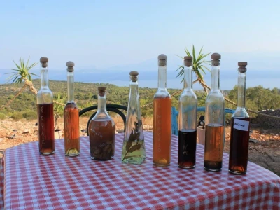 Kod Kućera