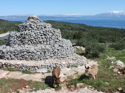 Kod Kućera