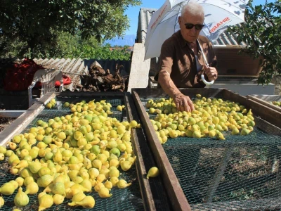 Kod Kućera