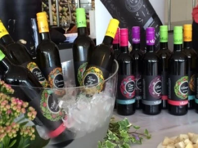 U kušaonici je u ponudi 14 sorti vina