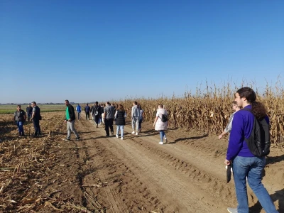 Komparativni pokusi hibrida kukuruza na pokušalištu FAZOS-a