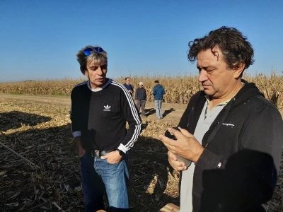 Komparativni pokusi hibrida kukuruza na pokušalištu FAZOS-a