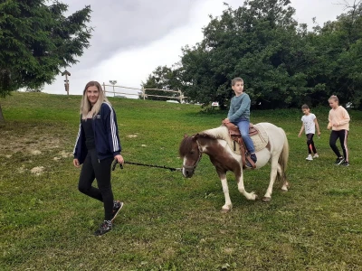 Konji iz Zagorja