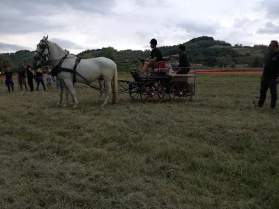Konjičke igre u Svetom Križu Začretju