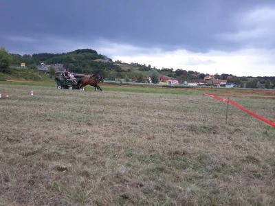 Konjičke igre u Svetom Križu Začretju