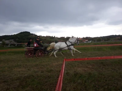 Konjičke igre u Svetom Križu Začretju