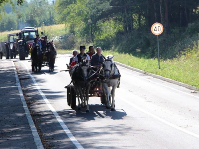 Konjskim zapregama u berbu grožđa