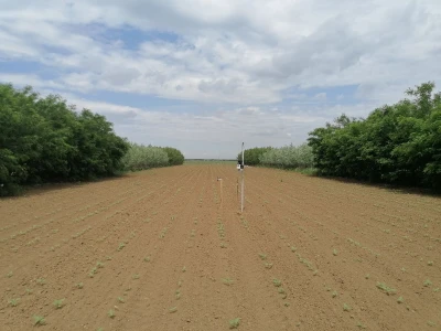Može li nas agrošumarstvo spasiti od klimatskih promjena?