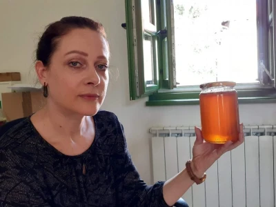Kontola meda i pčelinjeg voska