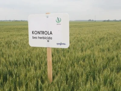 Syngenta