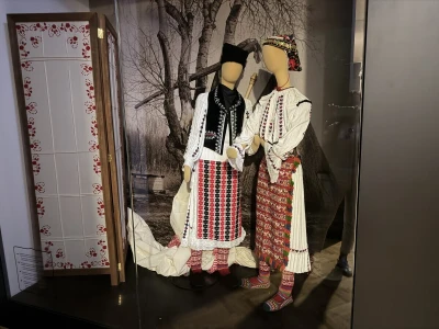 Kopački rit i dvorac Tikveš