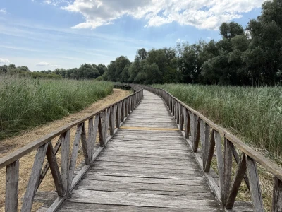 Kopački rit i dvorac Tikveš