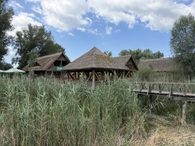 Kopački rit i dvorac Tikveš