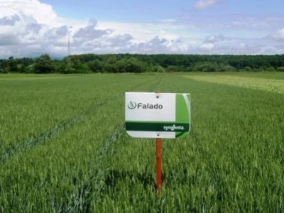 Syngenta zaradionica