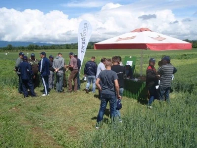 Syngenta zaradionica