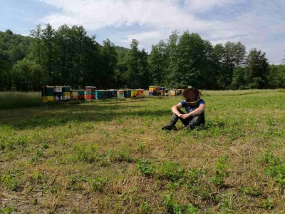 Pčelinja društva preselio na pašu kestena