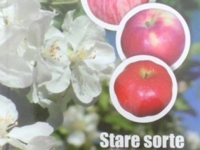 Stare sorte voća