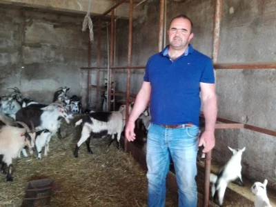 Kozarstvo Vice Udiljak