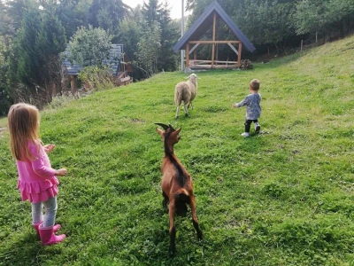 Kozji Vrh, Gorski kotar
