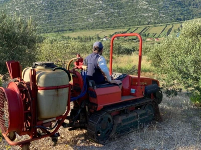 KRŠEVI I PADINE Kako formula iz Desana može  oživjeti 100.000 hektara zapuštene Dalmacije?