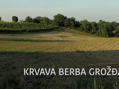 Općina Lovas