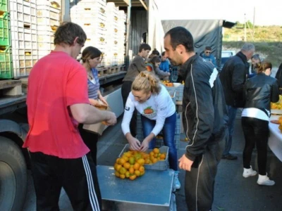 Kupnja mandarina